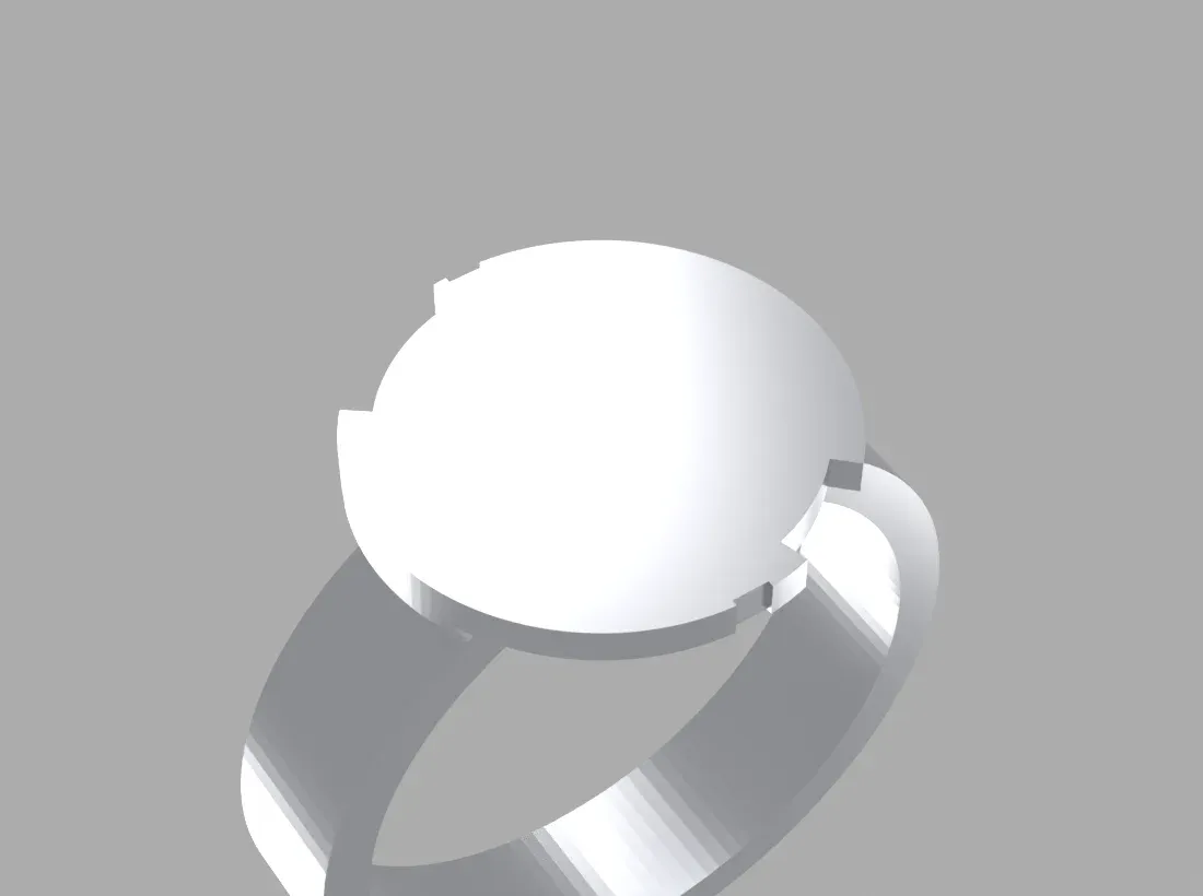 The ring pad with its notches for the twist-lock lugs